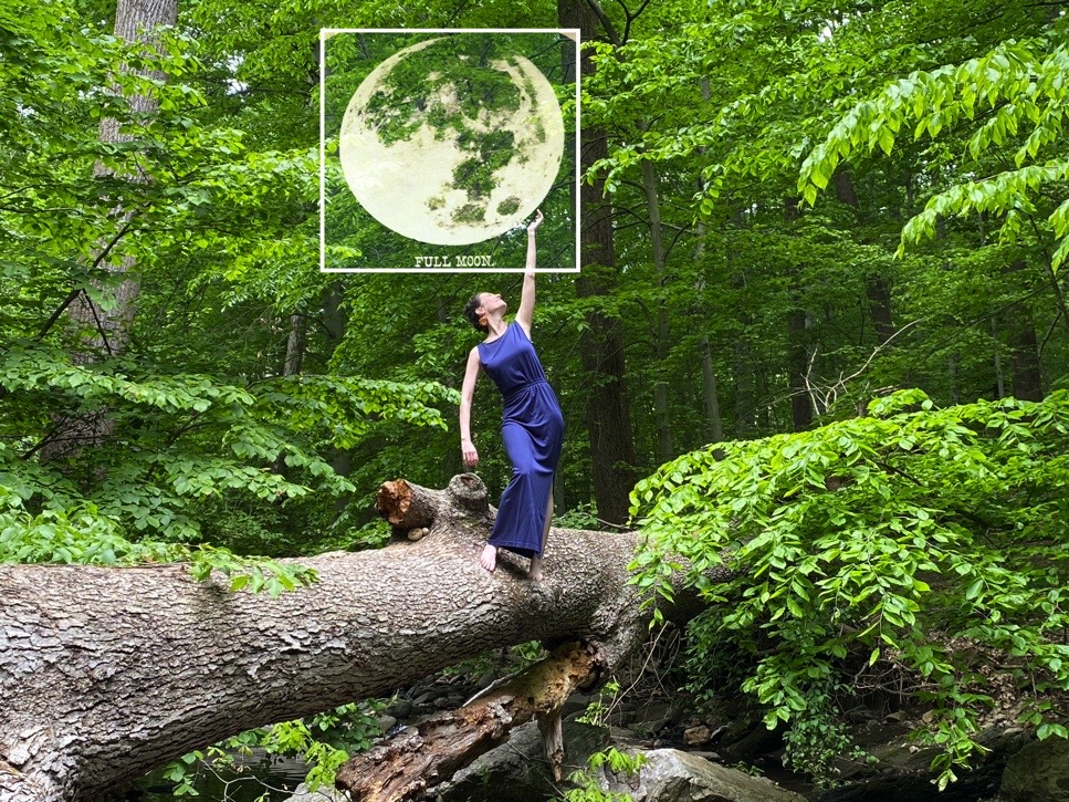 Indelible, Rorschach Theatre